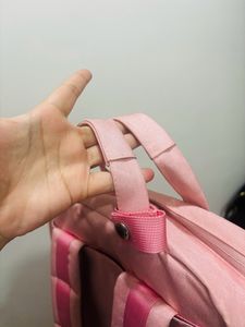 Pink Bag (Best For School/Clg Students)