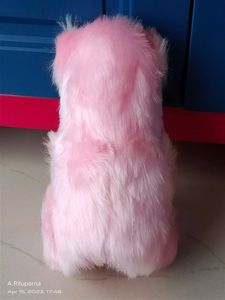 Pink Colour Teddy Bear