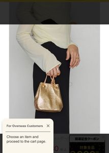 imported Gold Metal Mesh Handbag