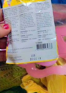Natural Dates(Khajoor)