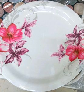 Dinner Plates