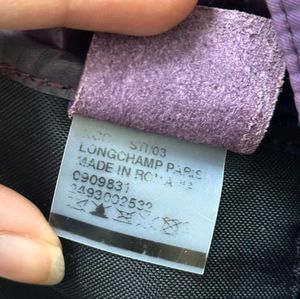 Longchamp Purple Hobo Bag