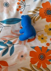 Free Small Teddy With Kids Purse