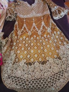 Lehenga And knee length tail Cut top