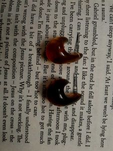 Amber Resin Earrings