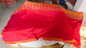 Festive Saree