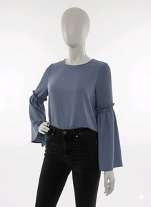 Ruffle Sleeve Blouse