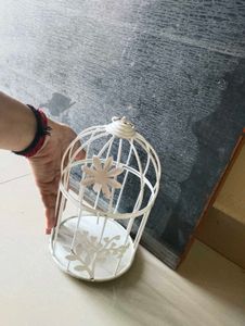 Beautifull Decoration Cage