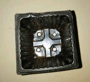 seed and Plant starter plastic pot