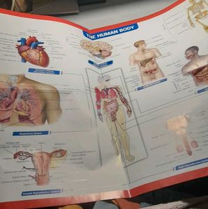 Ncert Fingertips Biology + Free Chart
