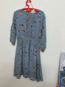 Floral Print Mini Dress