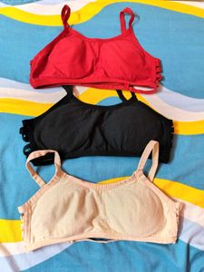 Paded Bra