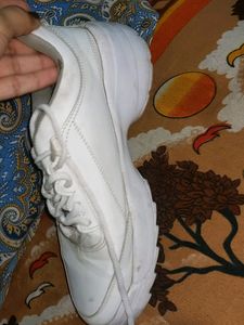 White Casual Sneakers