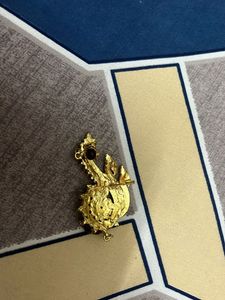 Saree Pin Or brooch