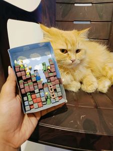 Minecraft Mini World