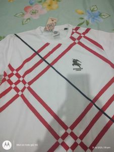 Combo Of 3 Shirt