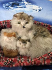 Soft Toys