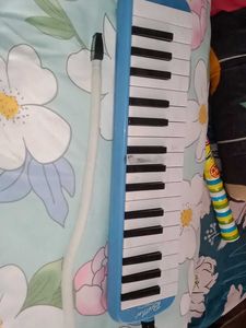 Brother Melodica Instrument