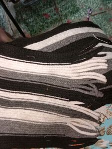 Muffler