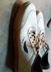 Casual White Sneakers