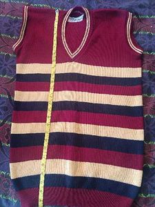 Striped Sleeveless Sweater Vest