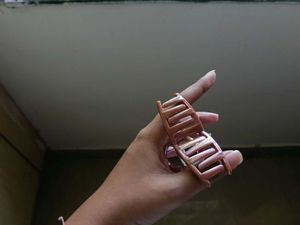 Hair Clip Claw