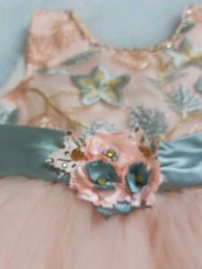 Prity Peach Dress