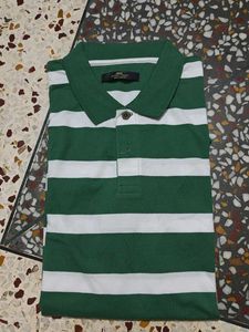 Striped Green Polo Shirt