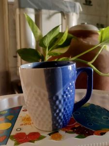 Blue Ceramic Mug @100 rs