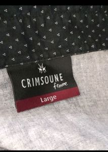 Beautiful Women Office Shirt
