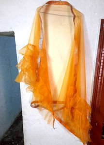 Orange Net Dupatta