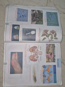 Biology Textbook Class 11