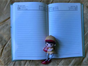 2025 Diary