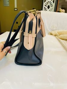 Baggit Handbag