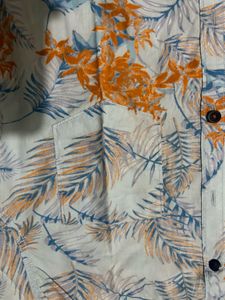 Combo Of 2 Men Shirts