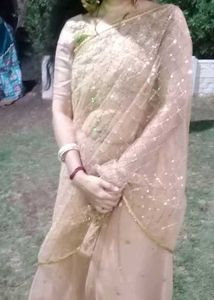 Net Sequence Saree