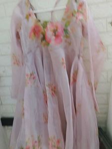 Floral Organza Dress