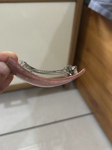 Premium Quality Hair Clip