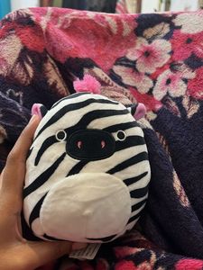 tracey the zebra