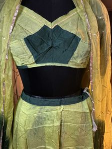 poshak set Green Lehenga Choli