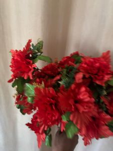 Red Flowers