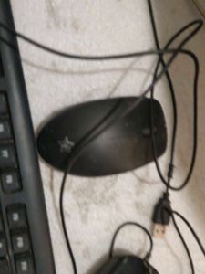 Frontech Keyboard And IBall Mouse