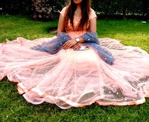 Peach Net Gown