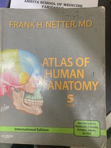 Netters Atlas For Visualisation Of Anatomy