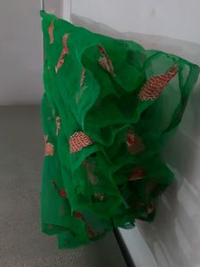 Hi, Iam Selling My New Green Net Skirt