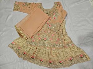 Party Wear Lehenga