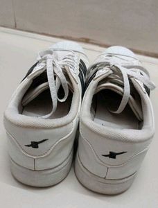 Sparx Shoes For Men