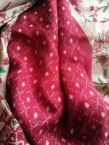 Chaka Chak Saree