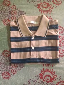 Striped Polo T-Shirt