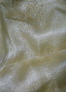 Fairy Tail 🧚‍♀️     Kurti